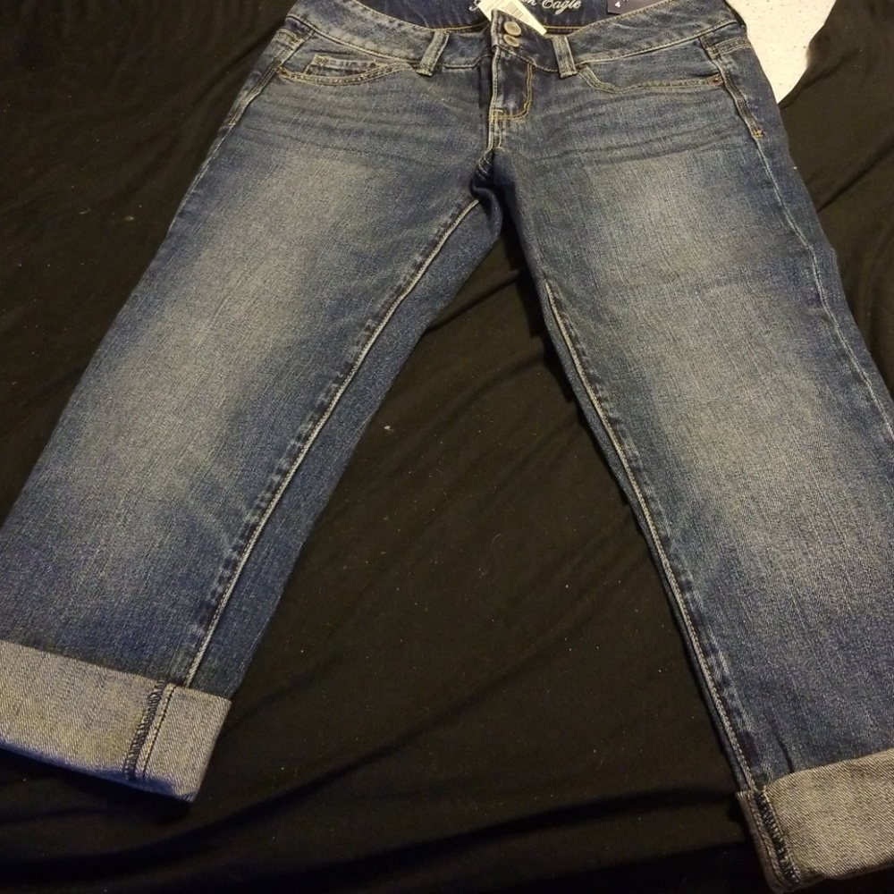 AE artist crop jean